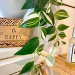 Le Des Coeurs Enlaces - Wifi Parking