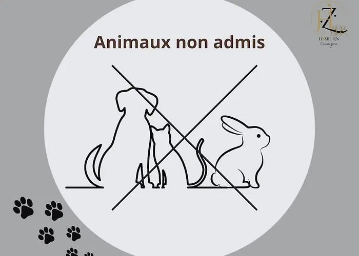 Le Des Coeurs Enlaces - Wifi Parking